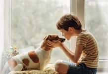 Experto explica cómo leer correctamente las etiquetas de alimentos para mascotas y tomar mejores decisiones de nutrición