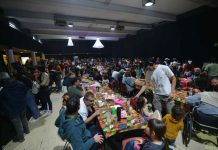 Festival Reino Fungi 2026: ciencia, arte e innovación se toman Pucón en una experiencia única