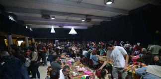 Festival Reino Fungi 2026: ciencia, arte e innovación se toman Pucón en una experiencia única