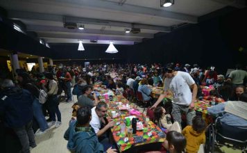 Festival Reino Fungi 2026: ciencia, arte e innovación se toman Pucón en una experiencia única