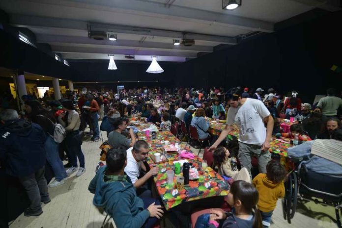 Festival Reino Fungi 2026: ciencia, arte e innovación se toman Pucón en una experiencia única