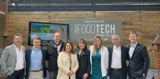 IIMAS Food impulsa la innovación en proteínas vegetales y acelera el desarrollo de soluciones alimentarias de nueva generación