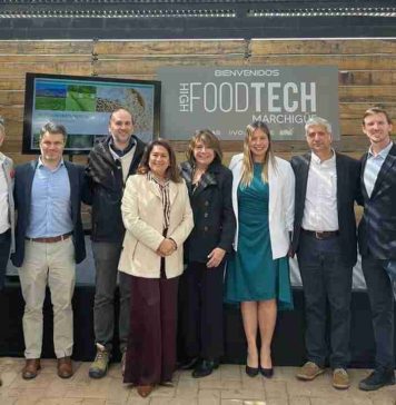 IIMAS Food impulsa la innovación en proteínas vegetales y acelera el desarrollo de soluciones alimentarias de nueva generación