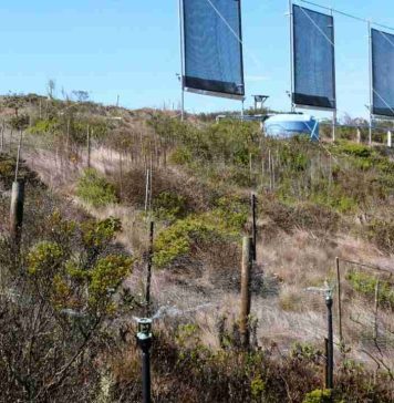 Inauguran sistema de atrapanieblas en Ovalle como solución innovadora frente a la megasequía