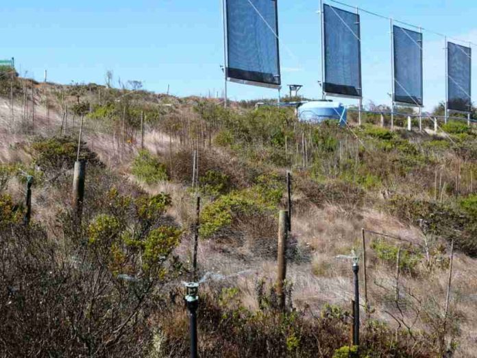 Inauguran sistema de atrapanieblas en Ovalle como solución innovadora frente a la megasequía