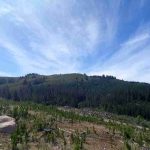 Investigación de Data Observatory contrasta datos satelitales y terrestres sobre humedad en 4 cuencas de Chile