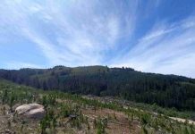 Investigación de Data Observatory contrasta datos satelitales y terrestres sobre humedad en 4 cuencas de Chile