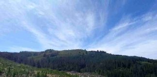 Investigación de Data Observatory contrasta datos satelitales y terrestres sobre humedad en 4 cuencas de Chile