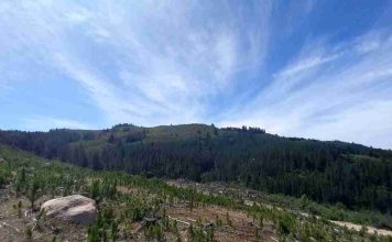 Investigación de Data Observatory contrasta datos satelitales y terrestres sobre humedad en 4 cuencas de Chile