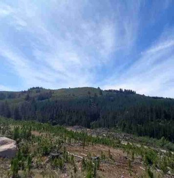 Investigación de Data Observatory contrasta datos satelitales y terrestres sobre humedad en 4 cuencas de Chile