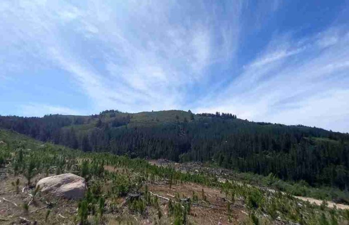 Investigación de Data Observatory contrasta datos satelitales y terrestres sobre humedad en 4 cuencas de Chile