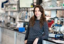 La UC Irvine lanza el Instituto de Ingeniería y Sostenibilidad para centrarse en materiales críticos