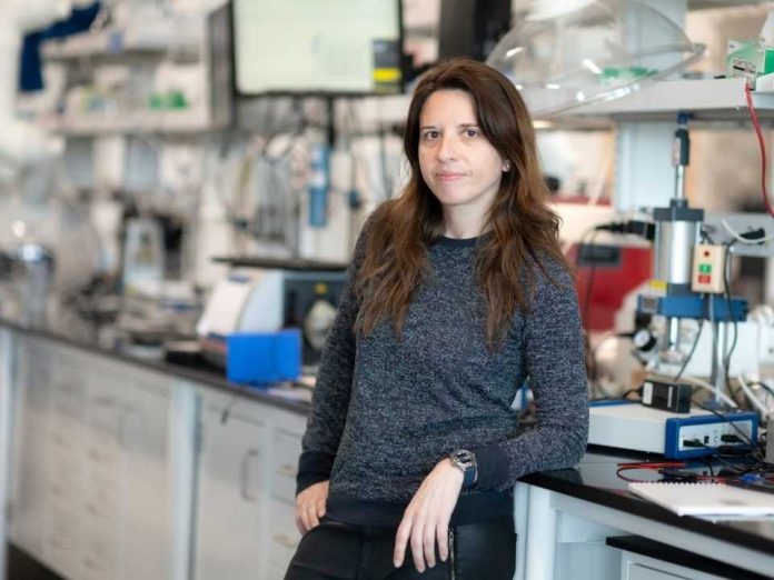 La UC Irvine lanza el Instituto de Ingeniería y Sostenibilidad para centrarse en materiales críticos