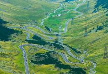 Las crisis mundiales han impulsado un aumento en la actividad política energética y el gasto público.