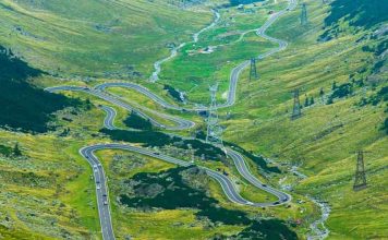 Las crisis mundiales han impulsado un aumento en la actividad política energética y el gasto público.
