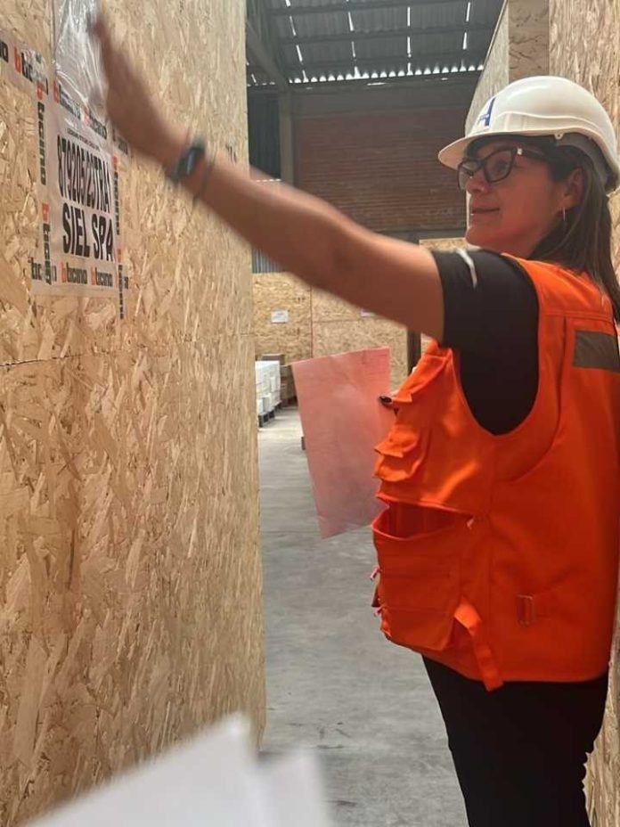 Liderazgo femenino que ilumina y potencia la industria eléctrica