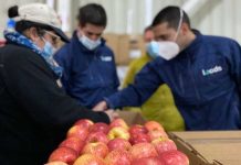 Loads inicia operaciones en Brasil y entra al ranking global de las foodtech más innovadoras