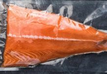 Los envíos de salmón alcanzan un récord histórico en un solo trimestre