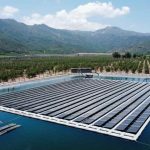 MODERNIZACIÓN DEL MODELO DE DISTRIBUCIÓN ELÉCTRICA SERÁ EL EJE CENTRAL DEL DEBATE EN PROYECTA SOLAR 2026