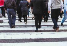 Mejoras previsionales contrastan con la generación de empleo: la formalidad previsional alcanza su mejor nivel desde 2023, pero el empleo crece apenas un 1% con alta incidencia informal Mejoras previsionales contrastan con la generación de empleo: la formalidad previsional alcanza su mejor nivel desde 2023, pero el empleo crece apenas un 1% con alta incidencia informal