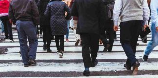 Mejoras previsionales contrastan con la generación de empleo: la formalidad previsional alcanza su mejor nivel desde 2023, pero el empleo crece apenas un 1% con alta incidencia informal Mejoras previsionales contrastan con la generación de empleo: la formalidad previsional alcanza su mejor nivel desde 2023, pero el empleo crece apenas un 1% con alta incidencia informal