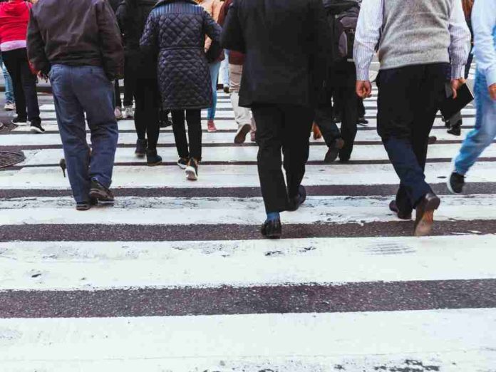 Mejoras previsionales contrastan con la generación de empleo: la formalidad previsional alcanza su mejor nivel desde 2023, pero el empleo crece apenas un 1% con alta incidencia informal