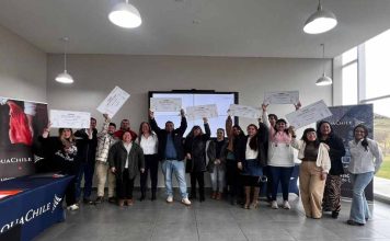 Octava versión de fondo concursable impulsará iniciativas sociales, culturales y productivas en el sur de Chile