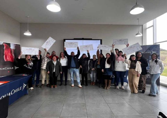 Octava versión de fondo concursable impulsará iniciativas sociales, culturales y productivas en el sur de Chile