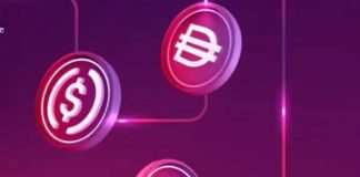 Pomelo impulsa tarjetas globales y el uso de stablecoins para modernizar los pagos en Chile Pomelo impulsa tarjetas globales y el uso de stablecoins para modernizar los pagos en Chile