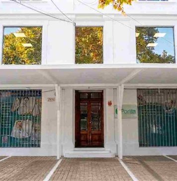 Portia revoluciona el mercado con el fin de la "Contratación al Azar"