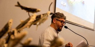 Presentan estudios científicos que confirman valor estratégico del mar del Biobío para la biodiversidad y la pesca artesanal