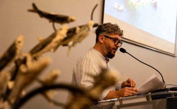 Presentan estudios científicos que confirman valor estratégico del mar del Biobío para la biodiversidad y la pesca artesanal