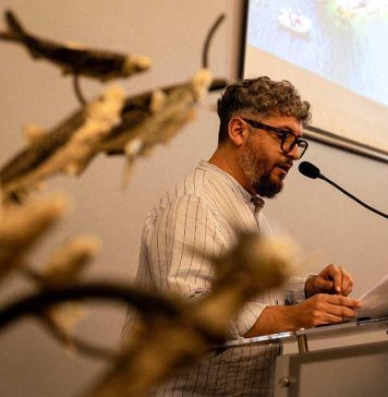 Presentan estudios científicos que confirman valor estratégico del mar del Biobío para la biodiversidad y la pesca artesanal