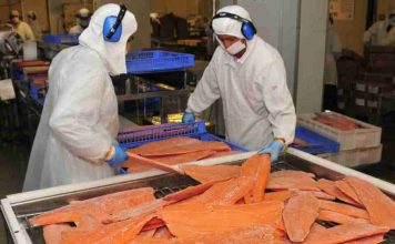 Primer trimestre: Exportaciones de la Región de Los Lagos superan los US$2.093millones