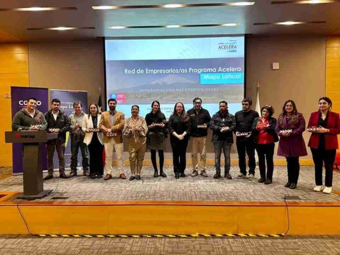 Programa Acelera Mapu Lahual cierra su ciclo con encuentro que proyecta el futuro empresarial del territorio