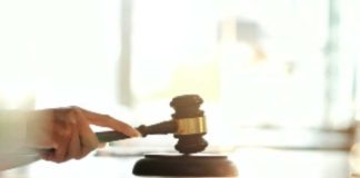 SII consigue condena en contra de contribuyentes que defraudaron al Estado mediante solicitudes indebidas de devoluciones de impuesto a la Renta