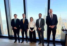 STM, filial de Grupo Saesa, acuerda la colocación de un bono verde por US$630 millones  