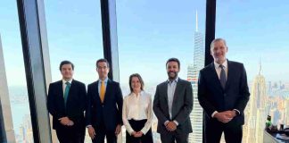 STM, filial de Grupo Saesa, acuerda la colocación de un bono verde por US$630 millones  