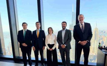 STM, filial de Grupo Saesa, acuerda la colocación de un bono verde por US$630 millones  