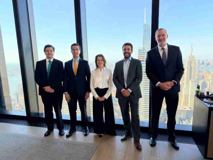 STM, filial de Grupo Saesa, acuerda la colocación de un bono verde por US$630 millones  