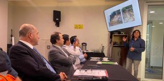 Sernageomin lidera mesa técnica ante emergencia por remociones en masa en Queule Sernageomin lidera mesa técnica ante emergencia por remociones en masa en Queule