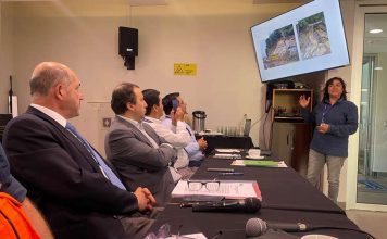 Sernageomin lidera mesa técnica ante emergencia por remociones en masa en Queule