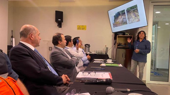 Sernageomin lidera mesa técnica ante emergencia por remociones en masa en Queule