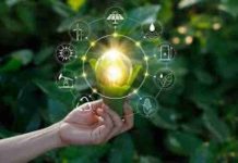 Transelec Ventures lanza nuevos desafíos de innovación para startups con foco en protección ambiental y arqueología preventiva Importante principalmente porque se te ha enviado directamente Haz clic para indicar a Gmail que esta conversación no es importante