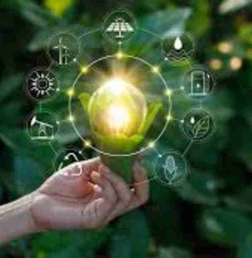 Transelec Ventures lanza nuevos desafíos de innovación para startups con foco en protección ambiental y arqueología preventiva Importante principalmente porque se te ha enviado directamente Haz clic para indicar a Gmail que esta conversación no es importante