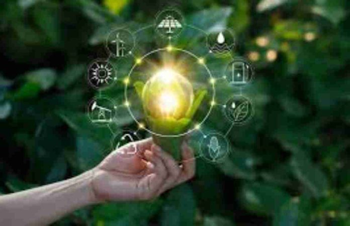 Transelec Ventures lanza nuevos desafíos de innovación para startups con foco en protección ambiental y arqueología preventiva Importante principalmente porque se te ha enviado directamente Haz clic para indicar a Gmail que esta conversación no es importante