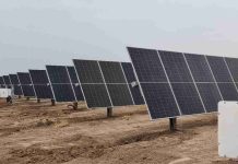 Trinasolar lanza nueva generación de módulos solares con eficiencias récord y mayor rendimiento Trinasolar lanza nueva generación de módulos solares con eficiencias récord y mayor rendimiento