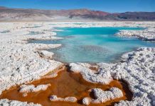 Universidad de Atacama desarrolla solventes basados en líquidos iónicos para la extracción de litio desde salares complejos