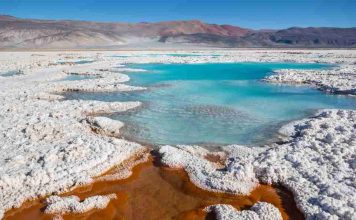 Universidad de Atacama desarrolla solventes basados en líquidos iónicos para la extracción de litio desde salares complejos