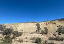 Universidad de Atacama lidera innovación que convierte relaves mineros en nuevos recursos para la industria Universidad de Atacama lidera innovación que convierte relaves mineros en nuevos recursos para la industria